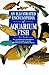 An Illustrated Encyclopedia of Aquarium Fish