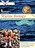 Marine Biology (Real Kids, Real Science Books)