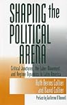Shaping the Political Arena (Kellogg Institute Series on Democracy and Development)