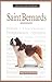 A New Owner's Guide to Saint Bernards