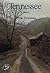 Tennessee: A Bicentennial H...