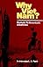 Why Viet Nam? Prelude To America's Albatross by Archimedes L.A. Patti