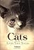 Stories About Cats and the Lives They Touch