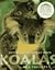 Koalas: Australia's Ancient Ones