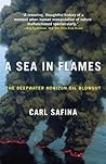 A Sea in Flames: ...