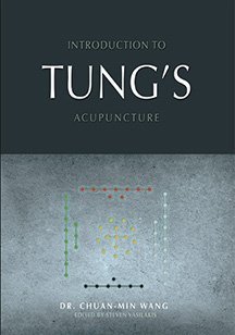 Introduction to Tung's Acupuncture (Paperback)