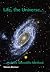 Life, the Universe, and the...