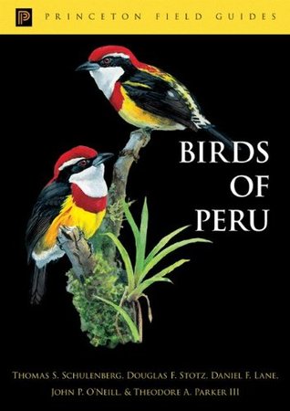 Birds of Peru (Princeton Field Guides)