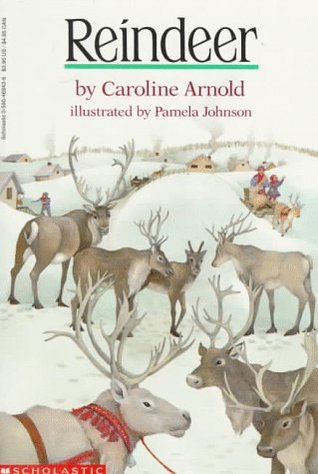 Reindeer (Paperback)