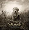 Yellowpup Yellowpup