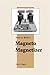How to Build a Magneto Magnetizer