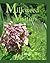 Milkweed Visitors by Mary Holland Milkweed Visitors by Mary Holland