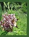 Milkweed Visitors Milkweed Visitors