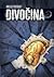 Divočina