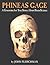 Phineas Gage by John Fleischman