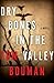 Dry Bones in the Valley by Tom Bouman