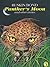 Panther's Moon and Other Stories by Ruskin Bond