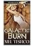 Galactic Burn by Mel Teshco