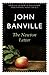 The Newton Letter by John Banville