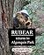 Rubear returns to Algonquin Park by Christopher Dutton