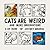 Cats Are Weird: And More Observations