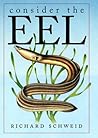 Consider the Eel