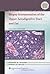 Biopsy Interpretation of the Upper Aerodigestive Tract and Ear (Biopsy Interpretation Series)