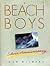 The Beach Boys Silver Anniv...