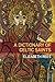 A Dictionary of Celtic Saints