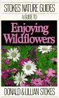 A Guide to Enjoying Wildflowers