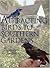 Attracting Birds to Southern Gardens by Thomas E. Pope