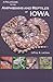 A Field Guide to the Amphibians and Reptiles of Iowa
