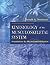 Kinesiology of the Musculoskeletal System