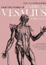 The Anatomical Drawings Of Andreas Vesalius (Hardcover)
