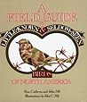 A Field Guide to Little-Known and Seldom-Seen Birds of North America A Field Guide to Little-Known and Seldom-Seen Birds of North America