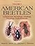 The American Beetles Vol 1: Archostemata, Myxophaga, Adephaga, Polyphaga: Staphyliniformia