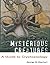 Mysterious Creatures: A Guide to Cryptozoology - Volume 1