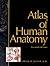 Atlas of Human Anatomy by Frank H. Netter Atlas of Human Anatomy by Frank H. Netter