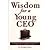 Wisdom For A Young CEO