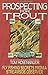 Prospecting for Trout: Fly Fishing Secrets from a Streamside Observer