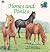 Horses & Ponies (Look-Look)