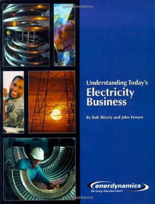Understanding Today's Electricity Business (Paperback)