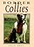 Border Collies