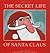 The Secret Life of Santa Claus