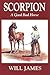 Scorpion: A Good Bad Horse (Tumbleweed Series)