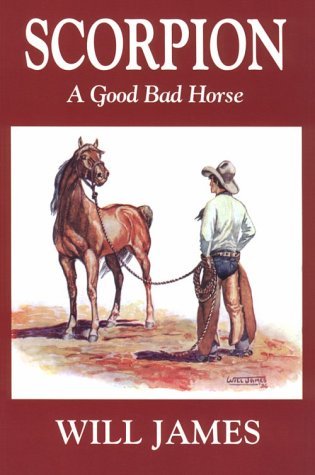 Capa do Livro Scorpion, a Good Bad Horse