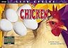 Chicken (Life Cycles)