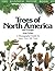 Trees of North America and Europe: A Photographic Guide to More Than 500 Trees
