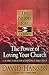 The Power of Loving Your Church: Leading Through Acceptance and Grace (PASTORS SOUL)