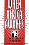When Africa Awakes When Africa Awakes